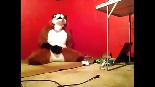 Double-dealing having some fun&period;